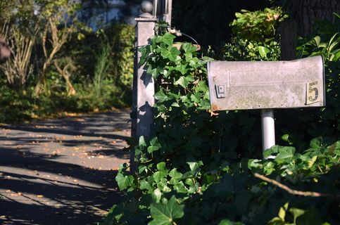 布朗，邮箱，旁边，门，信箱，邮局，邮件，盒子