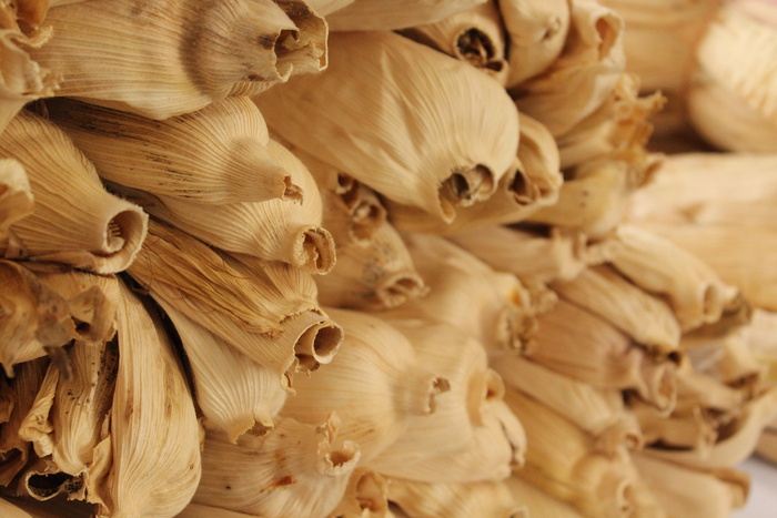 疑问，人力资源，水果和蔬菜，早上好，农民，母猪，食物，特写