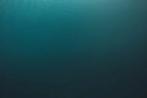 海洋，大海，水，空中，视野，背景，全画框，没有人