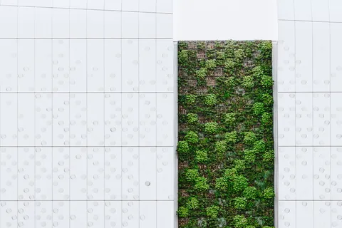 绿草、绿叶、植物、垂直、圆形、建筑、墙、矩形 绿草、绿叶、植物、垂直、圆形、建筑、墙、矩形