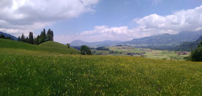 阿尔卑斯野生动物园，obermaiselstein，野生动物园，outlook，panorama，景观，allgäu，view