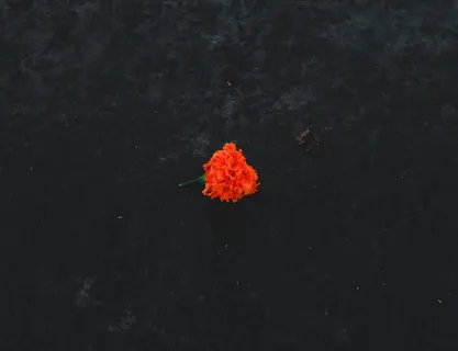 花, 婚姻, 婚礼, 地上的花, 橙色, 婚礼花, 绿色, 植物