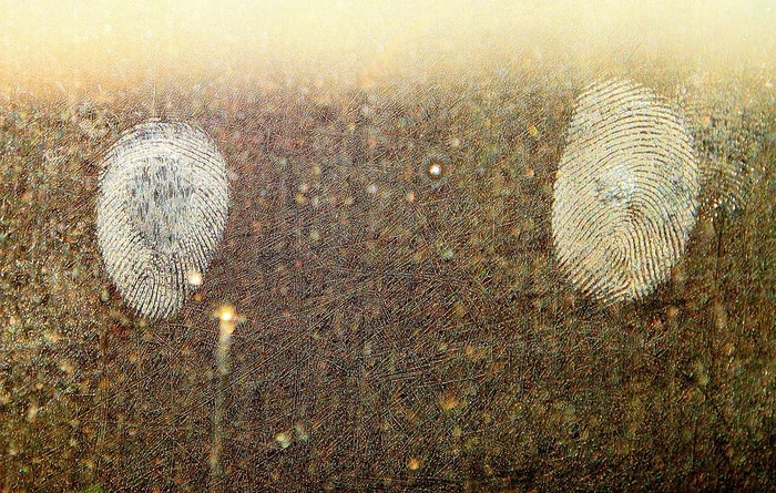 指纹插图、污垢、指纹、取证、污垢、玻璃、油脂、皮脂腺