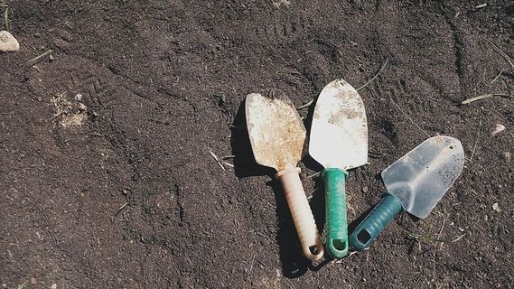 土地、棕色、铁锹、儿童、颜色、犁、植物、高角度视图