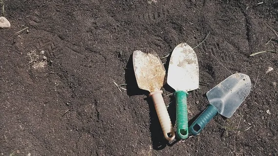 土地、棕色、铁锹、儿童、颜色、犁、植物、高角度视图 土地、棕色、铁锹、儿童、颜色、犁、植物、高角度视图