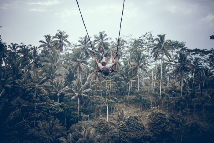 穿着白色衬衫的人骑着灰色秋千背景的树