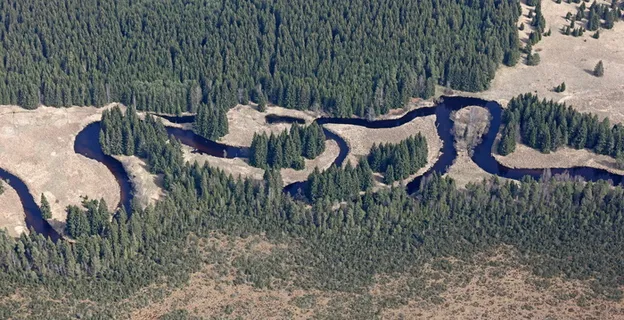 曲流、vltava、šumava、河流、森林、水、自然、山脉