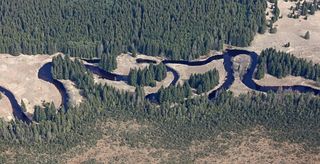 曲流、vltava、šumava、河流、森林、水、自然、山脉