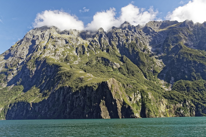 新西兰，米尔福德湾，峡湾，南岛，山，水，景观，自然
