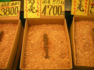 植物、食品、蔬菜、农产品、谷物、小麦、种子、玉米