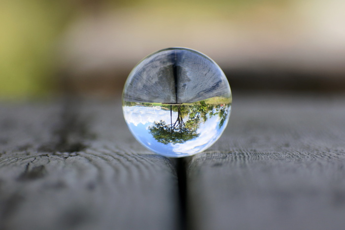 水滴、反射、树木、宏观拍摄、自然、景观、天空、云