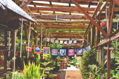 木材、景观、花卉、旗帜、商业、日光、植物、花园 木材、景观、花卉、旗帜、商业、日光、植物、花园