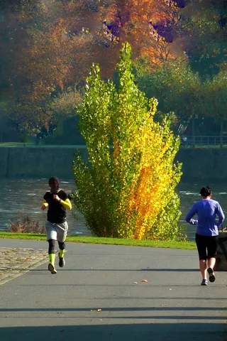 运动、连续操作、恢复、休闲、围棋、慢跑、慢跑、跑步