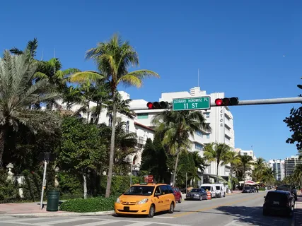 美国,迈阿密海滩,南海滩,街道,迈阿密,佛罗里达,海洋大道,树 美国,迈阿密海滩,南海滩,街道,迈阿密,佛罗里达,海洋大道,树