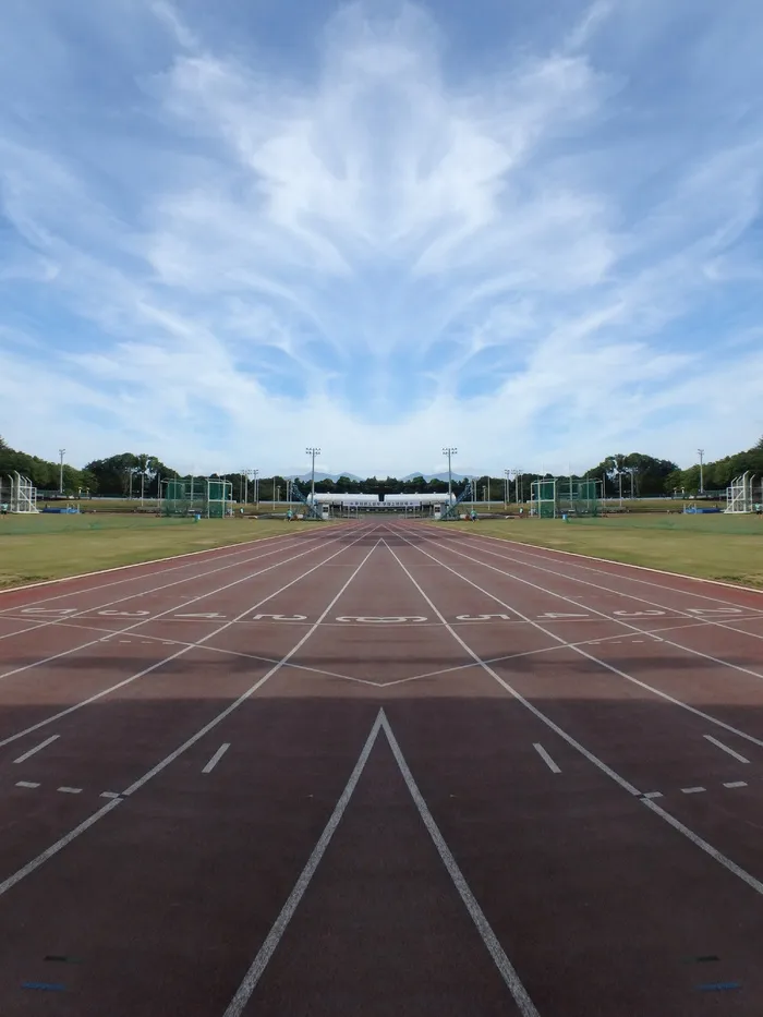竞技场、运动、锻炼、公园、田径、跑道、运动、运动跑道