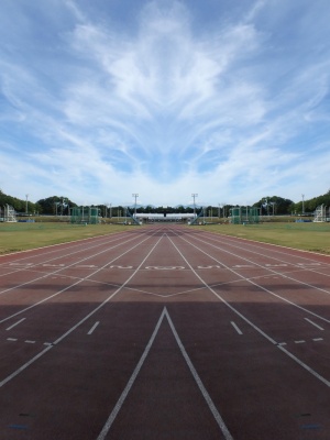 竞技场、运动、锻炼、公园、田径、跑道、运动、运动跑道