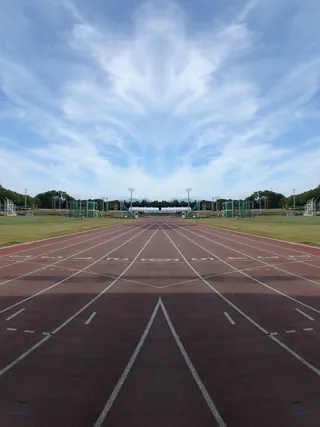 竞技场、运动、锻炼、公园、田径、跑道、运动、运动跑道