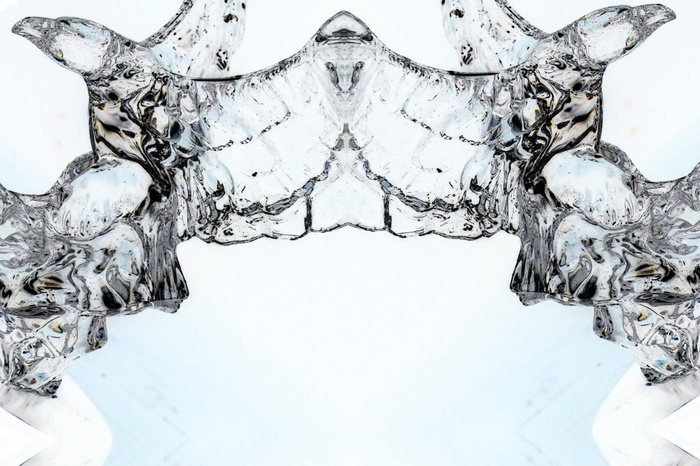 设计、隐藏面、图案、鸟、形状、抽象、水、背景