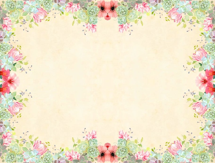 花卉背景-花卉元素的完整花朵框架