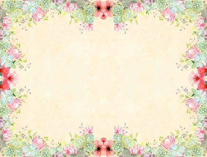 花卉背景-花卉元素的完整花朵框架