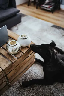 设计师设计的起居室室内有一张木箱桌、紫色沙发和灰色地毯