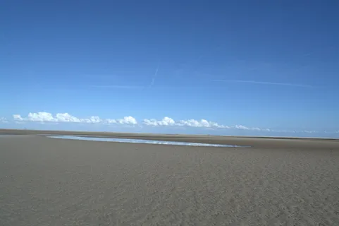 norderoogsand, 沙洲, 自然保护区, 休息, 沙, 性质, 沙滩, 自然保护区