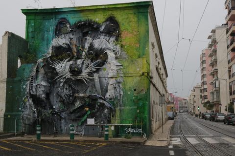 葡萄牙，里斯本，街头艺术，浣熊，壁画，公共艺术，建筑，建筑外观