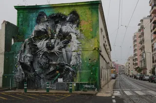 葡萄牙，里斯本，街头艺术，浣熊，壁画，公共艺术，建筑，建筑外观