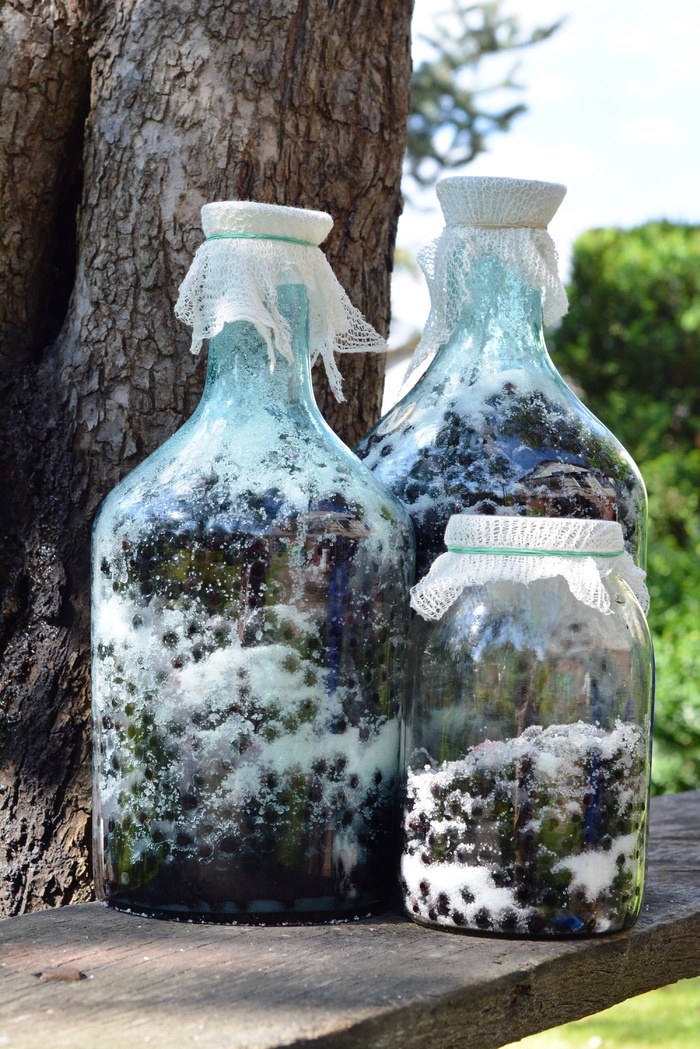 aronia、水果、制剂、果汁、新鲜、碳水化合物、脊砖、天然
