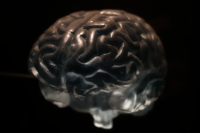 灰色大脑插图，大脑，解剖学，神经元，神经系统，人脑，科学，黑色背景