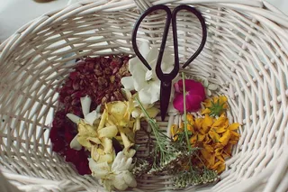 干燥，花朵，切割，干燥，剪刀，篮子，栀子花，玫瑰