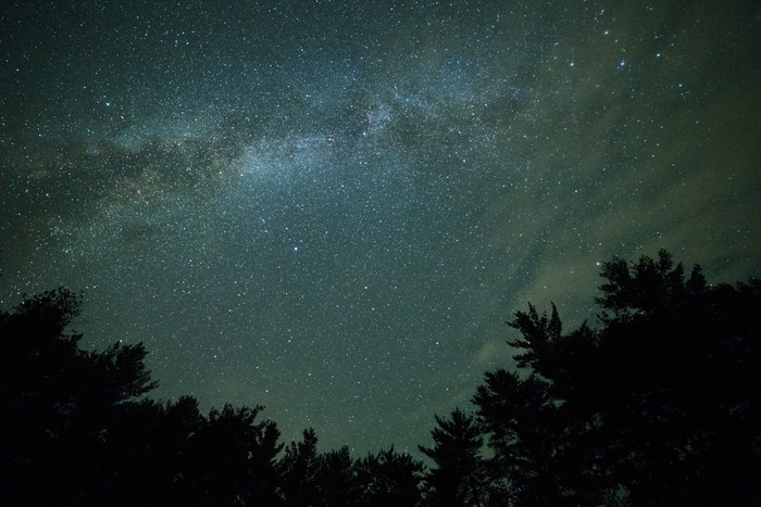 黑暗，银河，夜晚，剪影，天空，星星，皇室图像，树木