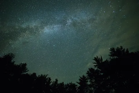 黑暗,银河,夜晚,剪影,天空,星星,皇室图像,树木 黑暗,银河,夜晚,剪影,天空,星星,皇室图像,树木