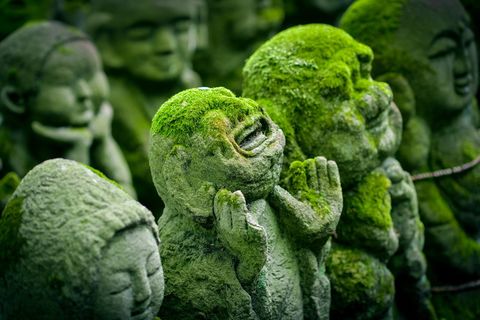 人类、混凝土、雕像、苔藓、京都、日本、jizo、日本