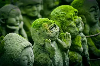 人类、混凝土、雕像、苔藓、京都、日本、jizo、日本
