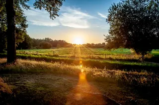 绿草场黄金时段照片