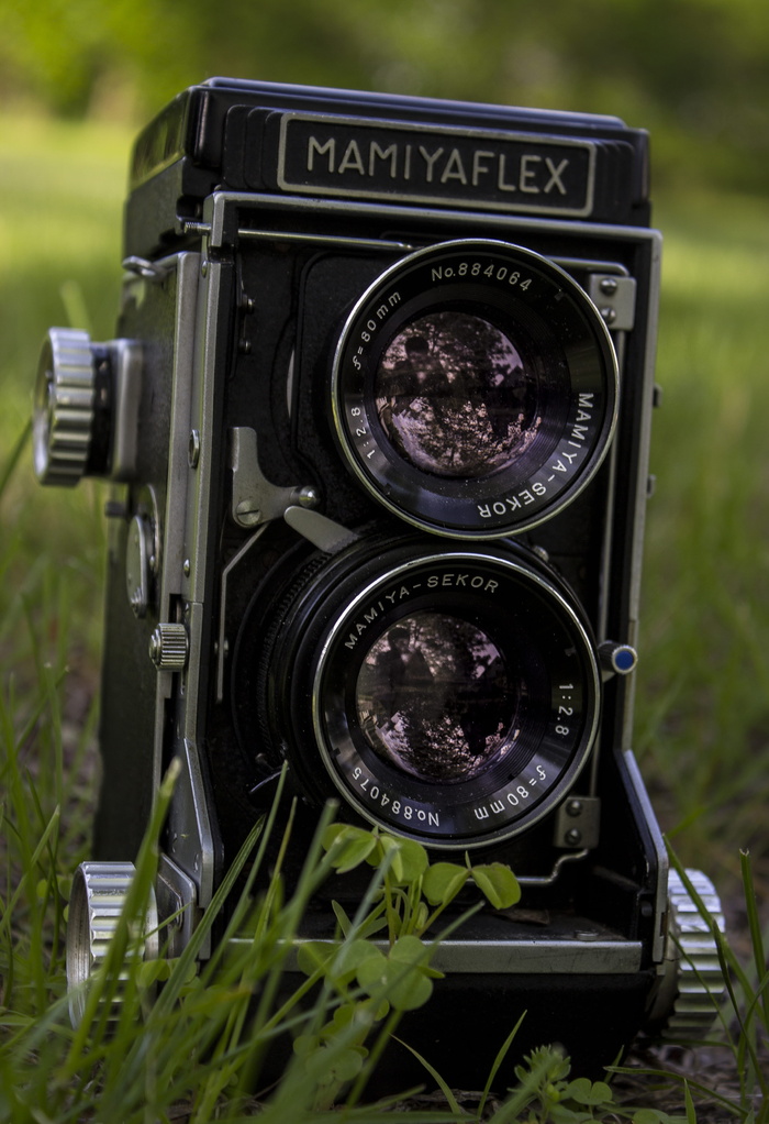 草上Mamiya Flex双镜头相机特写