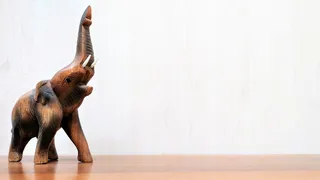 大象，木材，抽象，象鼻，长鼻，哺乳动物，室内，复制空间