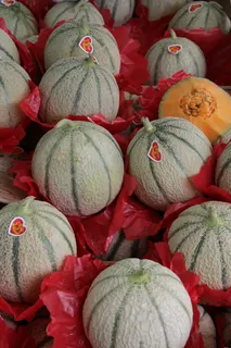甜瓜、市场、夏季、水果、新鲜度、食品和饮料、全框架、食品 甜瓜、市场、夏季、水果、新鲜度、食品和饮料、全框架、食品