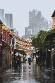 撑着伞走在路上的人 撑着伞走在路上的人