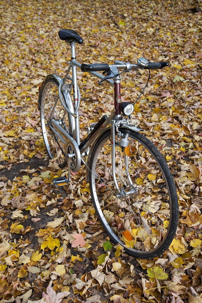 自行车，kalkhoff，gents cycles，秋叶，自行车，秋天，交通，陆地车辆