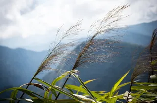 山，美，环境，天空，民族山，山水，明媚，飘逸