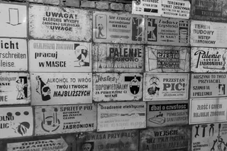 波兰, 金坡, 墙, 一系列, 板块, 描述, 文字, 内容