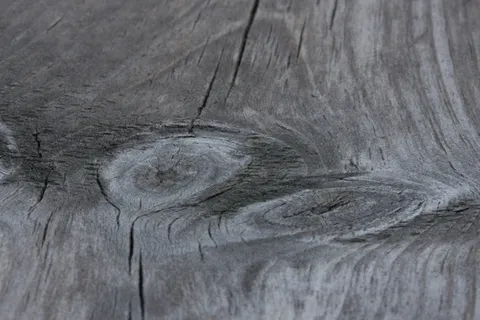 木材,树枝,年轮,横截面,纹理,实木,背景,全框架 木材,树枝,年轮,横截面,纹理,实木,背景,全框架