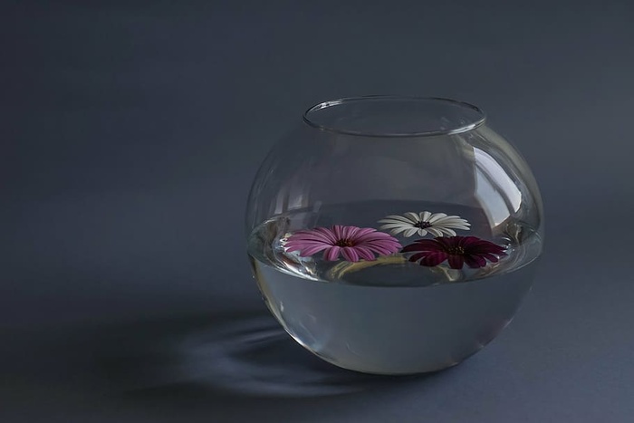 装满的，透明的，玻璃鱼缸，构图，花，玻璃容器，水，静物