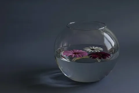 装满的，透明的，玻璃鱼缸，构图，花，玻璃容器，水，静物