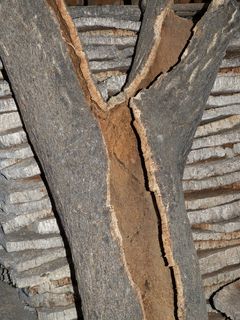 葡萄酒，瓶子，软木板，软木，葡萄酒，瓶子，公告板，天然产品，瓶盖