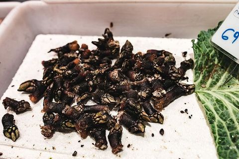 西班牙巴塞罗那拉博克利亚食品市场