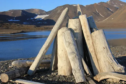 斯瓦尔巴特群岛,浮木,木材,山脉,木材-材料,风景-自然,自然,山脉 斯瓦尔巴特群岛,浮木,木材,山脉,木材-材料,风景-自然,自然,山脉