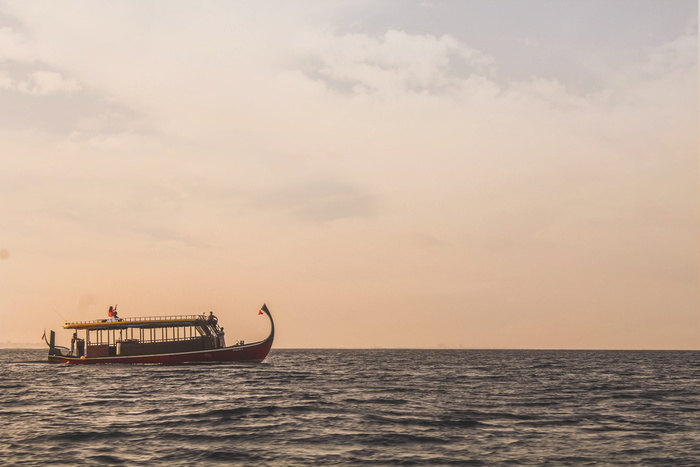 马尔代夫，velassaru马尔代夫，天空，太阳，日落，日出，水肺，鱼